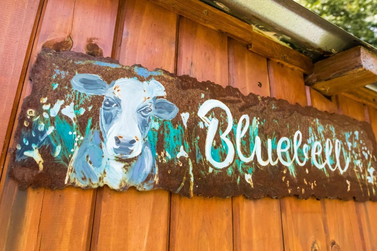 Peace Corner Cottages Dullstroom Esterno foto
